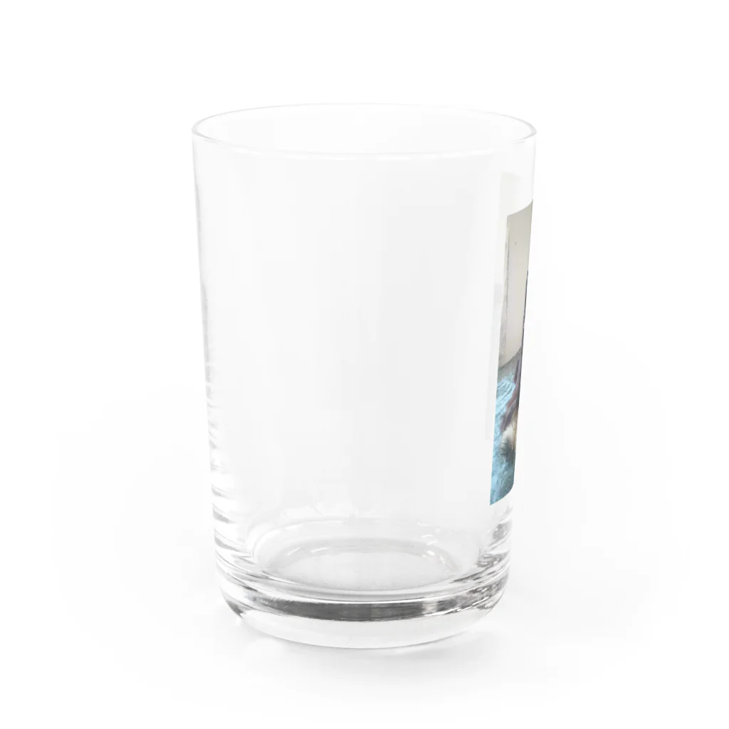うまうまのブランカ Water Glass :left