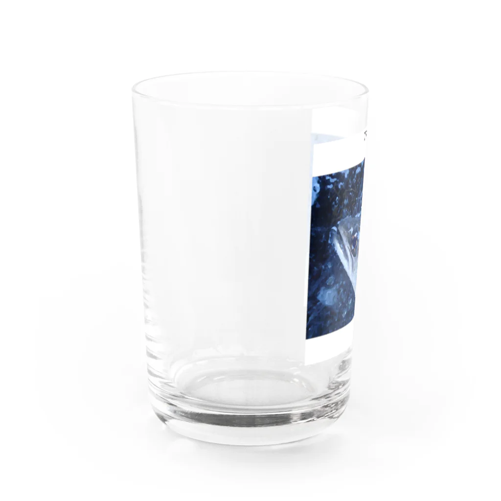 gakkungakkunのアマゴ絵画調デザイン Water Glass :left