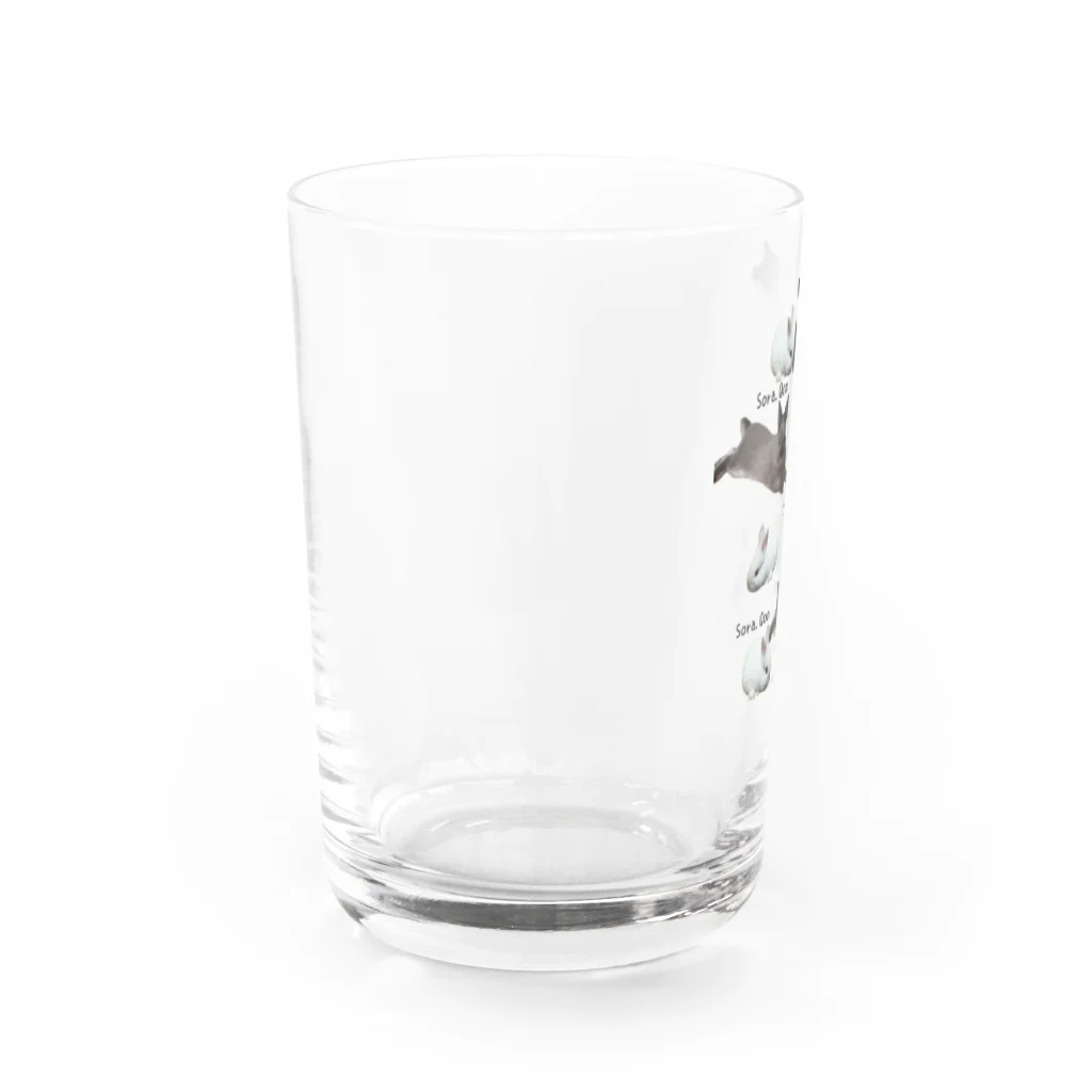 そらくーのそらくー。 Water Glass :left