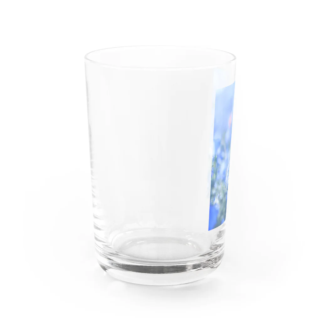 はやしの光を浴びる Water Glass :left