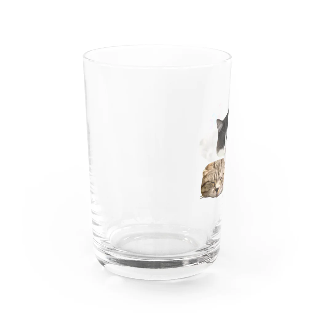 NYARASHI公式ショップ”NYARA4”のおねんねにゃらしくん Water Glass :left