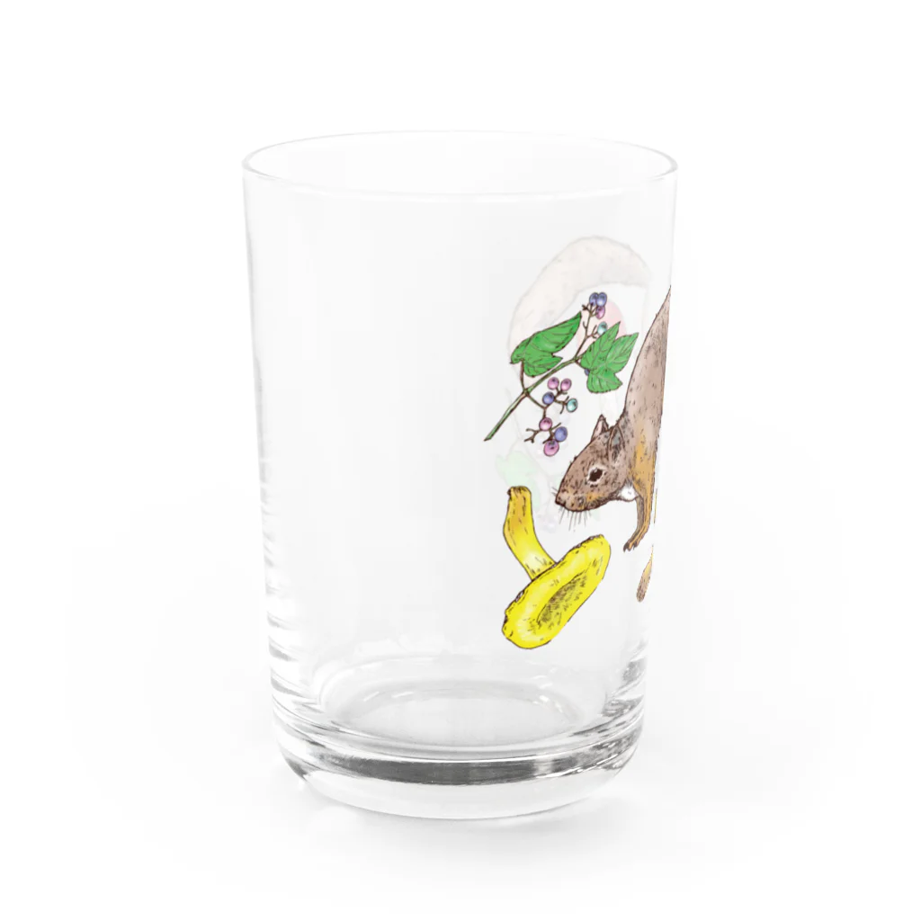 nemunoki paper itemの実りの森深く Water Glass :left