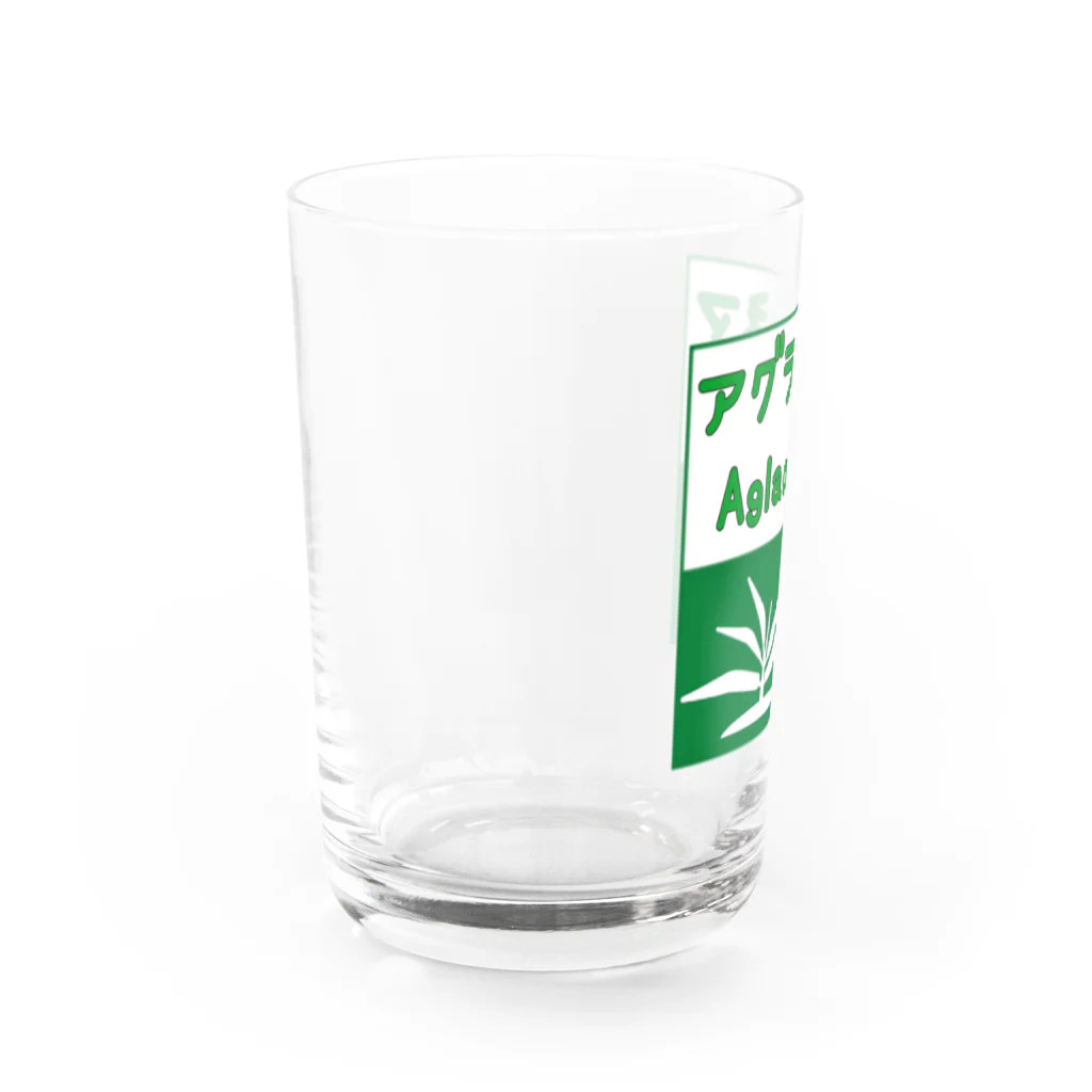 がま八のお店のアグラオネマ　高速道路標識風ピクトグラム Water Glass :left