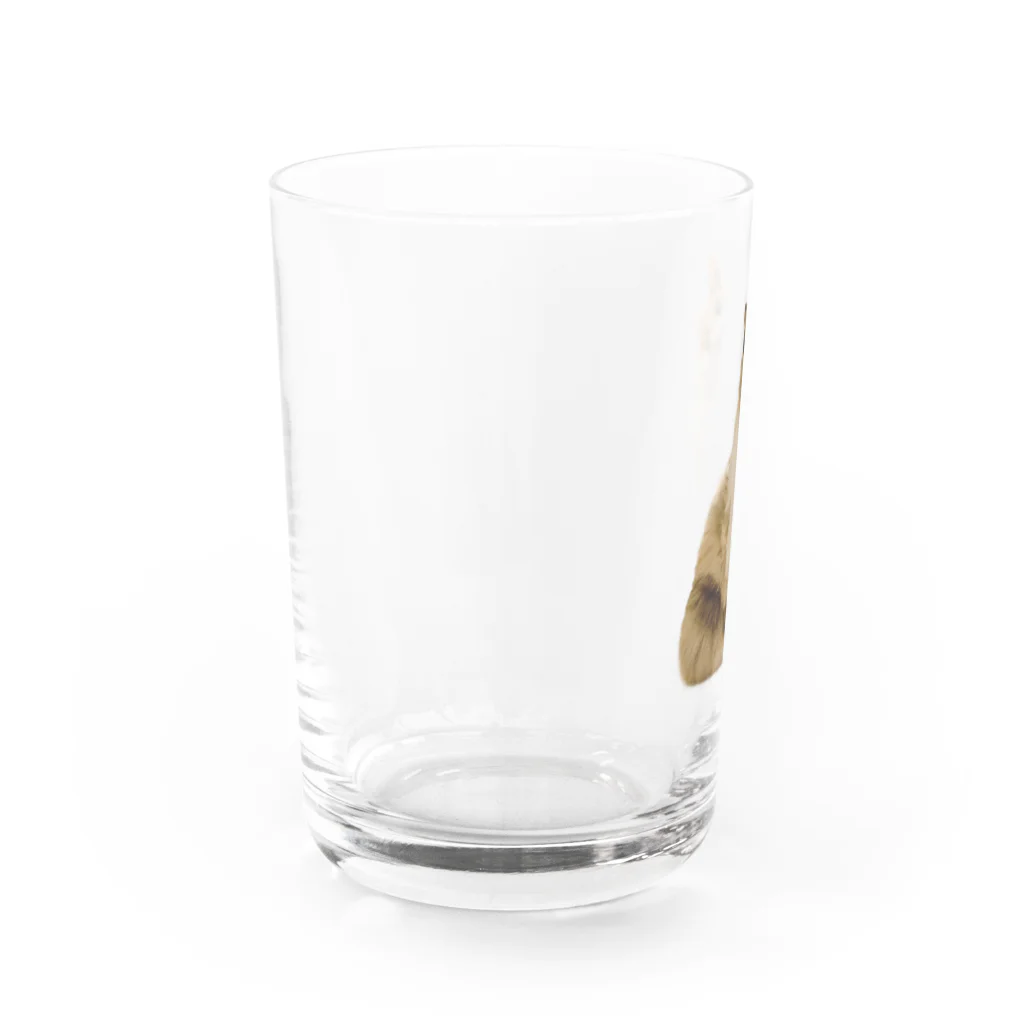 ファンシーショップ★メルちゃんのお座りメルちゃん Water Glass :left