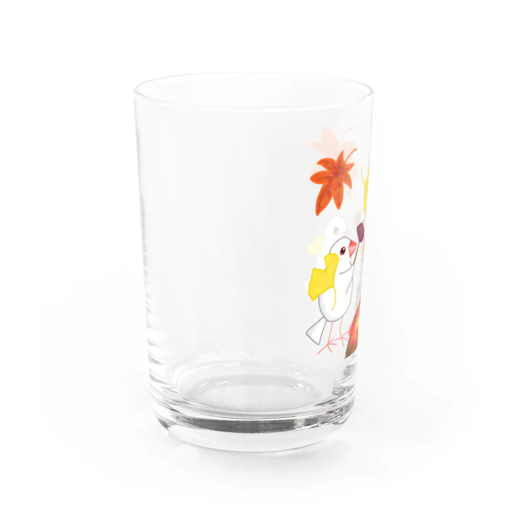 Lily bird（リリーバード）の落ち葉と焼き芋と文鳥ず Water Glass :left