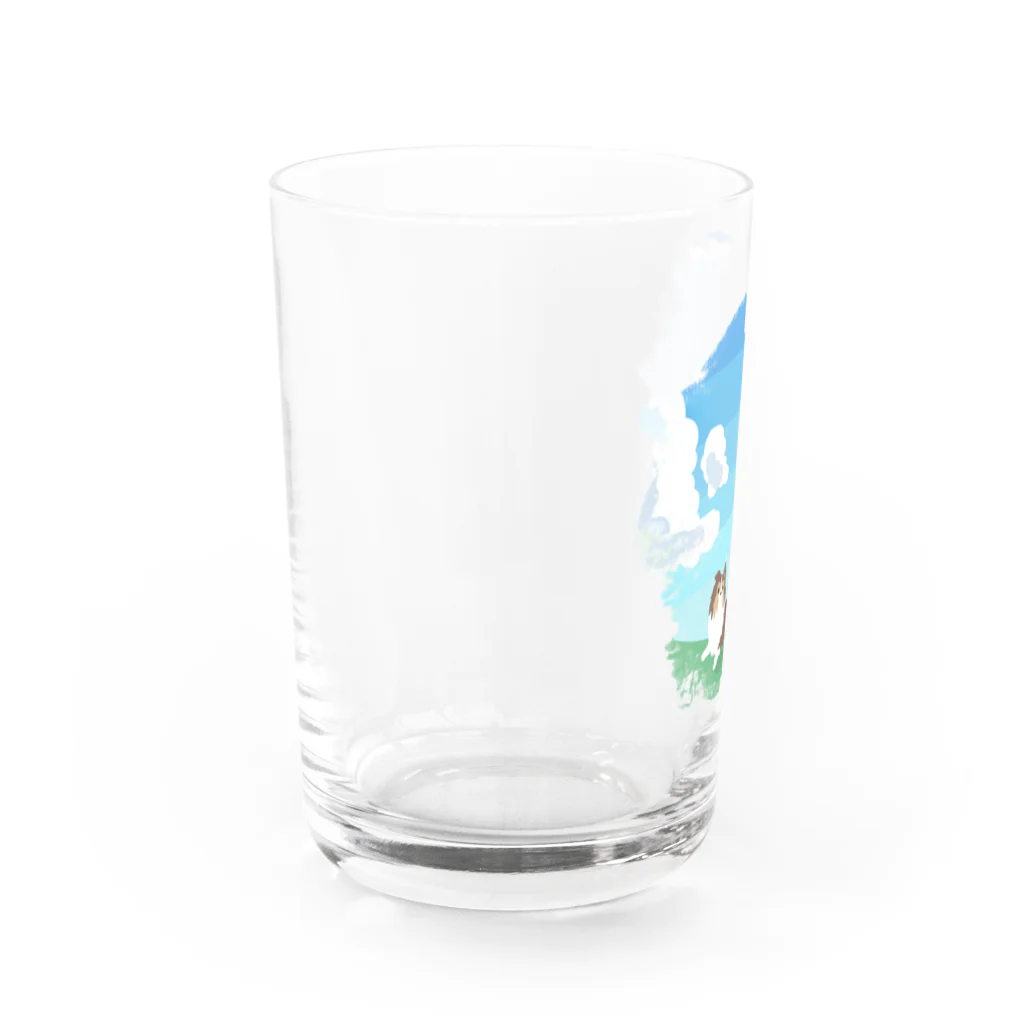 Kotetsu diary(SUZURI店)のシェルティ2匹×青空の下の草原 Water Glass :left