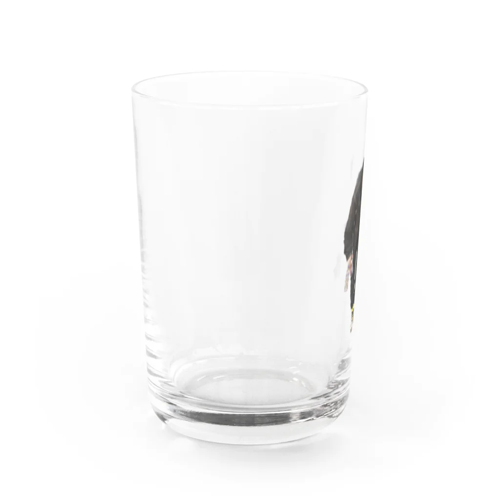 東北ハードコア情報局の謝罪SGHAL Water Glass :left