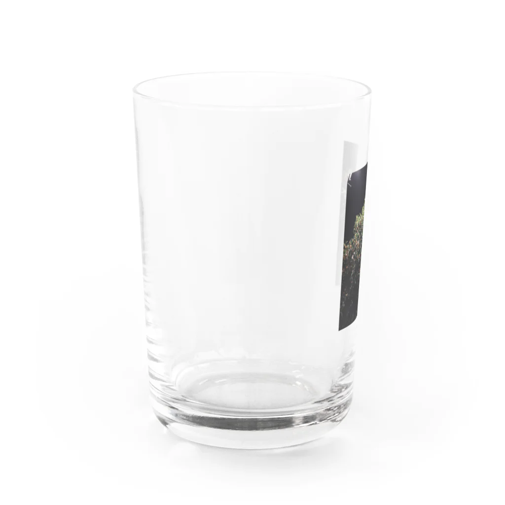 いつもの夜の金木犀 Water Glass :left