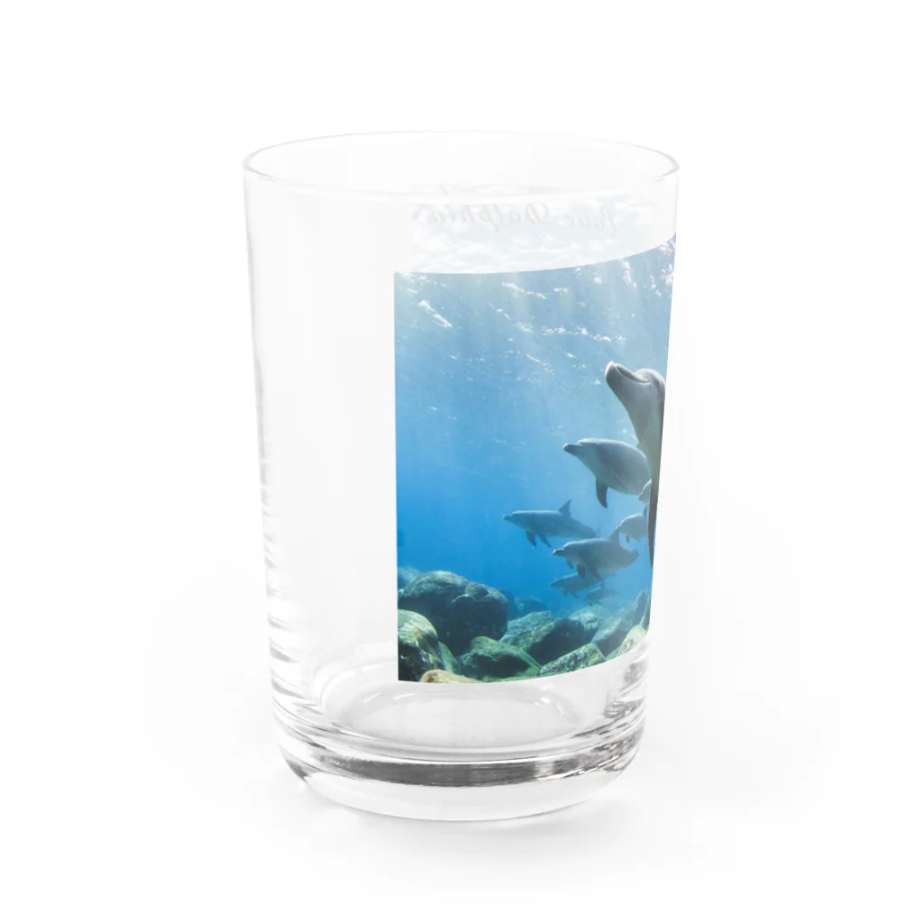 BLUE DOLPHINのLove Dolphin 4 Water Glass :left