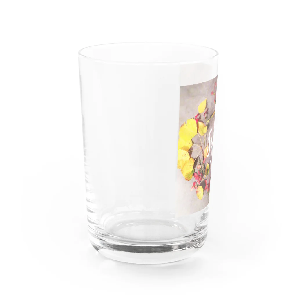 PionikkoのSyksy Water Glass :left