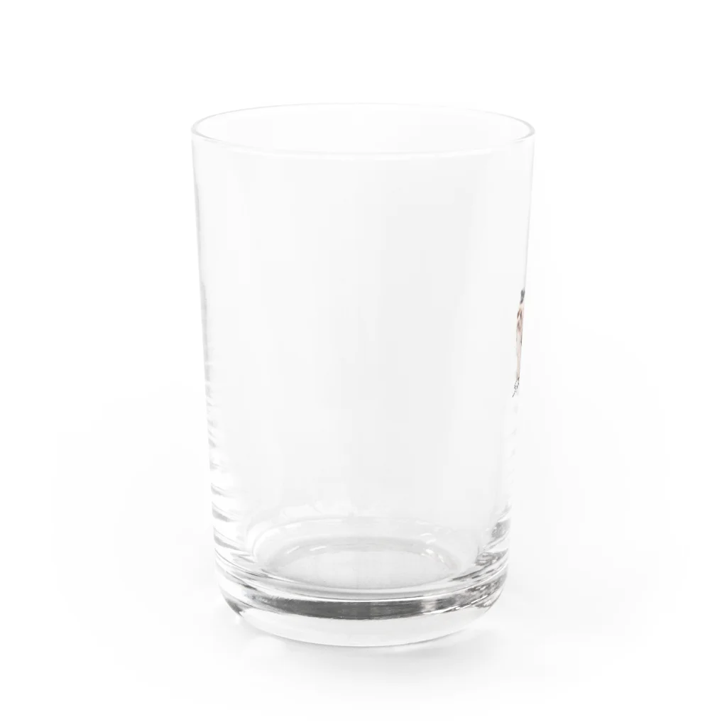 Life is Wavyのsnazzy Water Glass :left