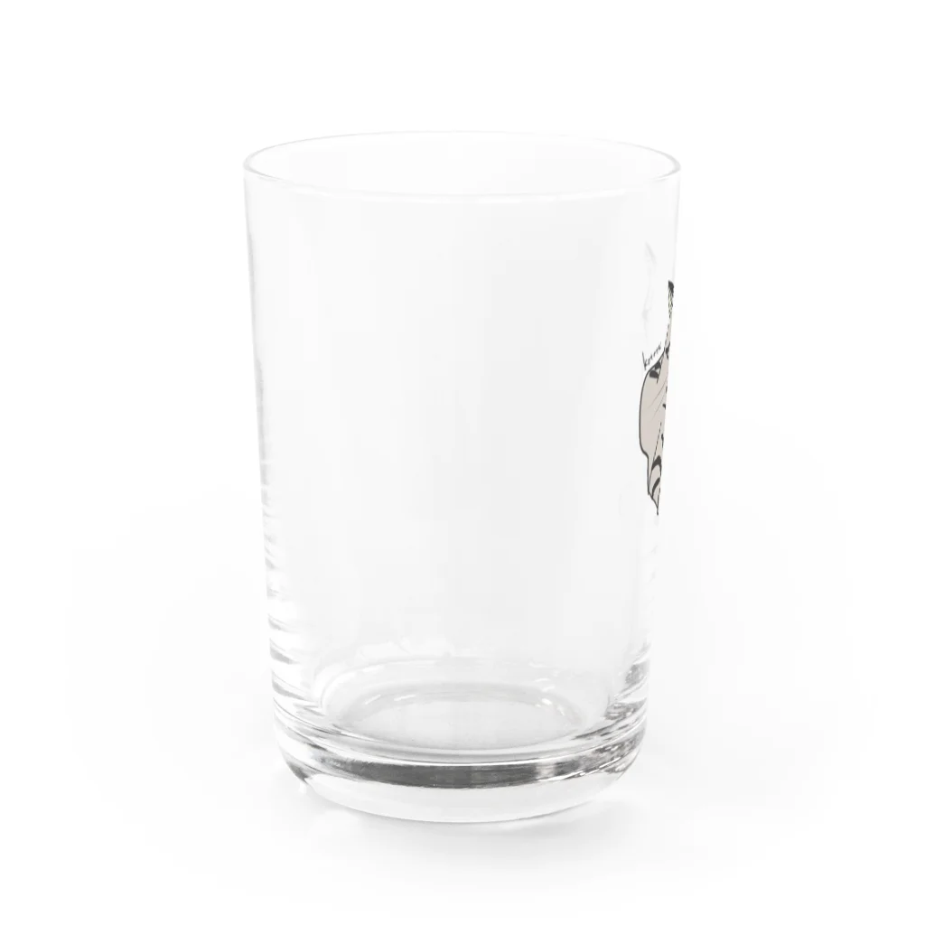 ハチワレ猫のハチベエのお上品なキジトラ猫 Water Glass :left