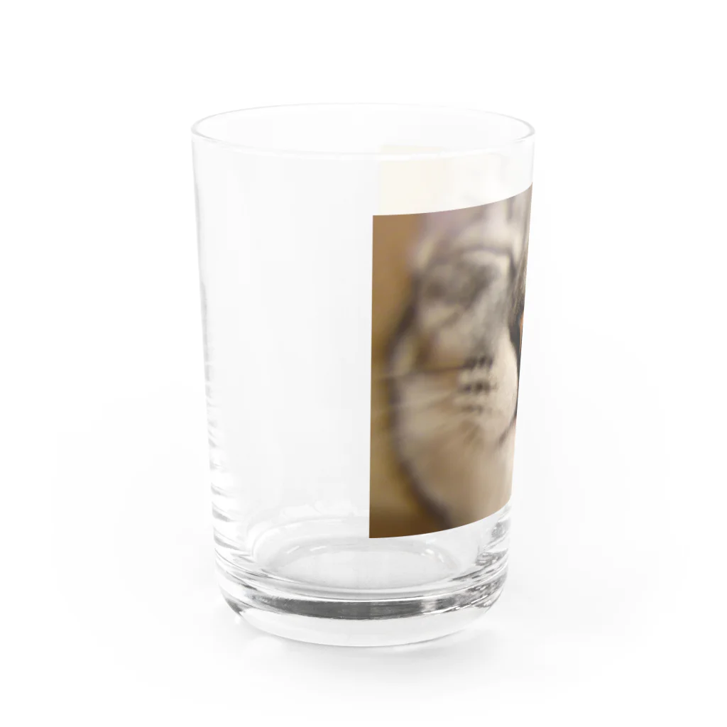 ギャラリーのろぺこのシアワセのおヒゲぶくろ Water Glass :left