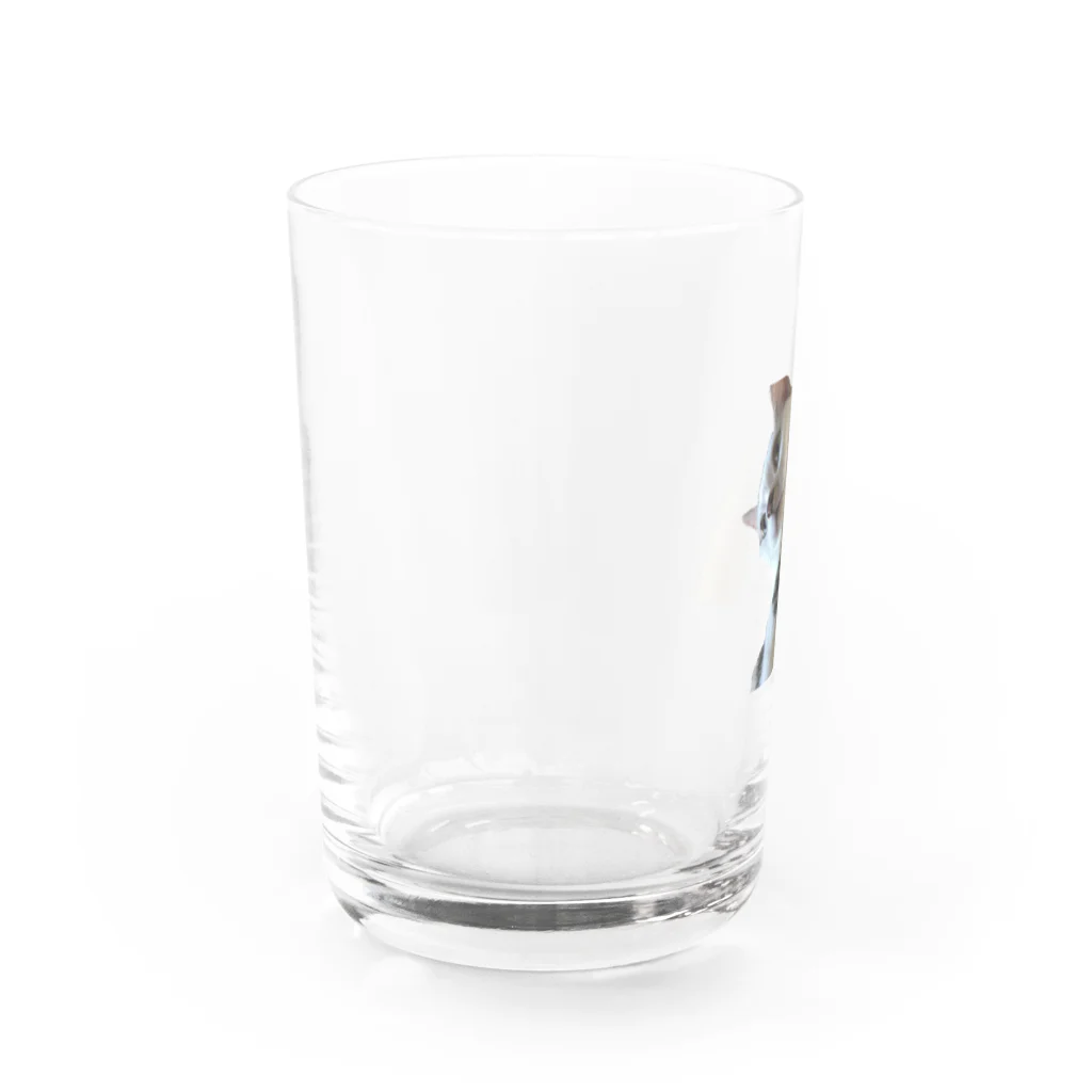 ポップならくがきのうちのねこちゃん Water Glass :left