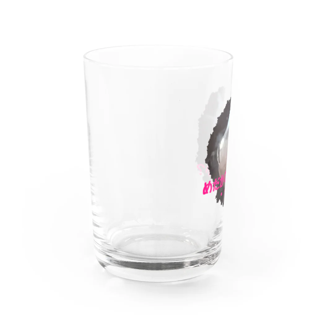 湯けむりshopのめだかですが・・・何か？ Water Glass :left