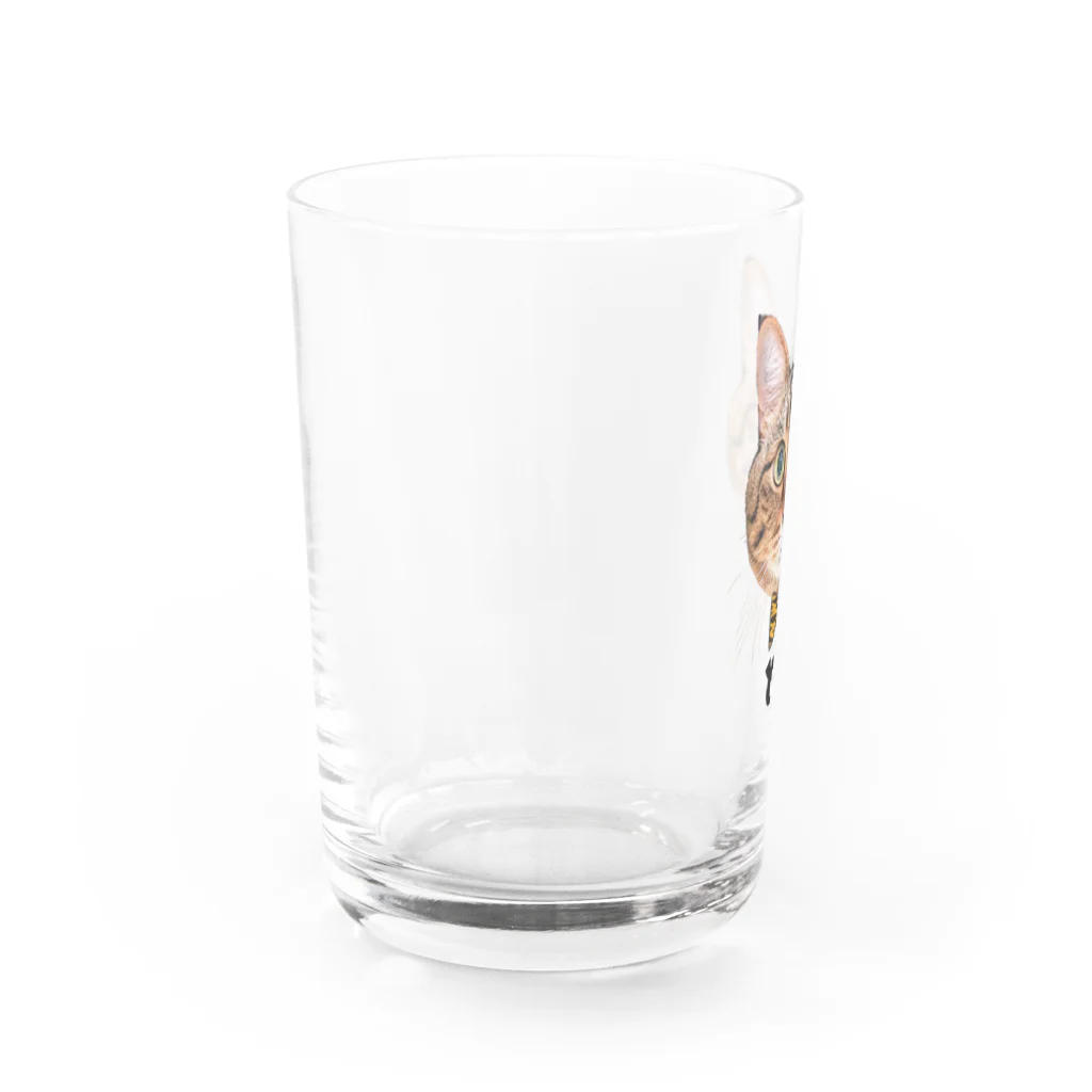 CAT CROWNのまんまる寅次郎 Water Glass :left