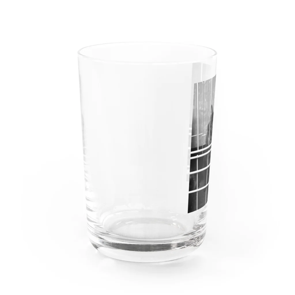 neko_00_nekoのマダラくん Water Glass :left
