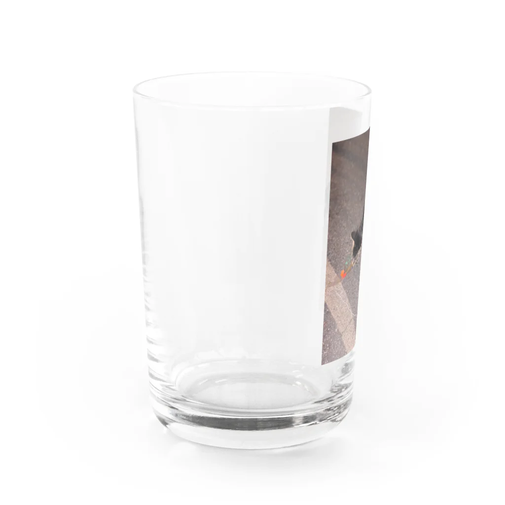 neko_00_nekoの猫さん Water Glass :left