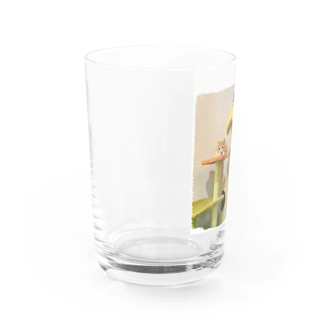 yumi81japanのシンプルな幸せ Water Glass :left