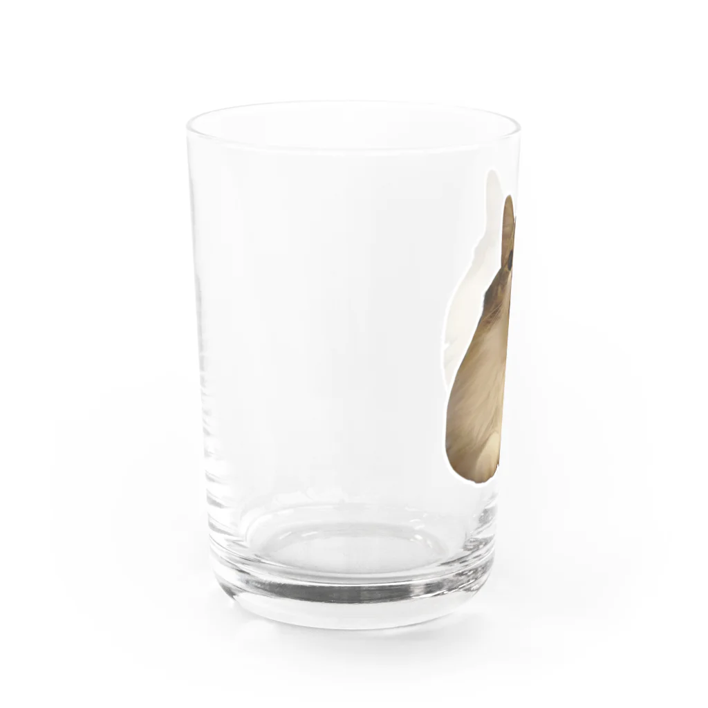 おでん屋さんのもちもち。 Water Glass :left