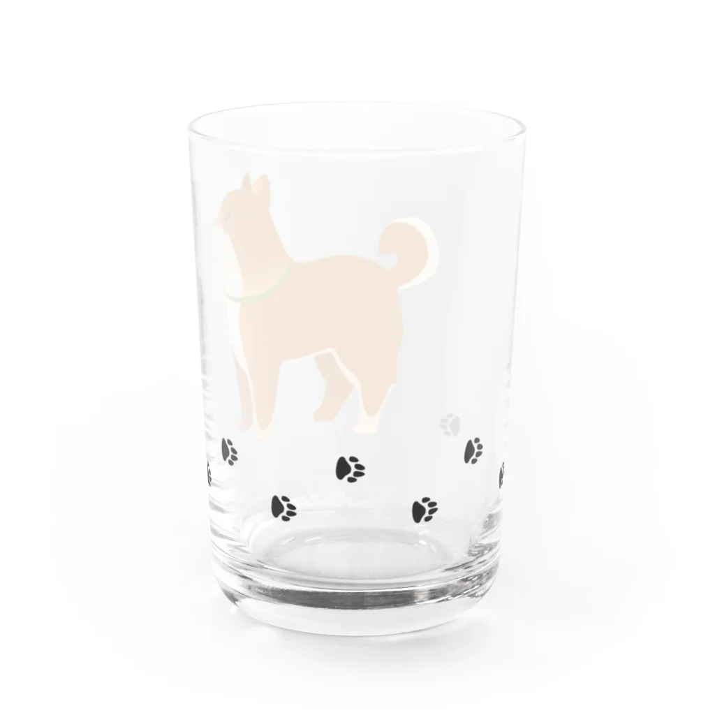 ちゃちゃまるふどーさんのてくてく柴くん Water Glass :left