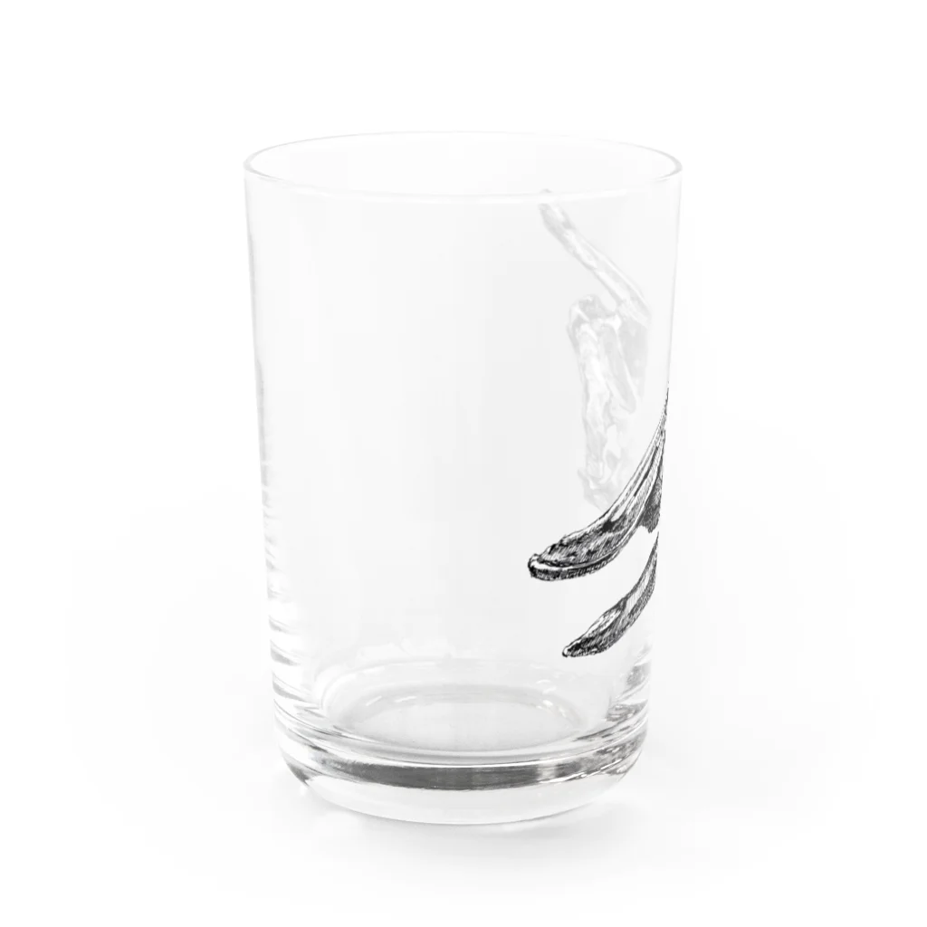 segasworksのサウロロフスの頭の骨 Water Glass :left