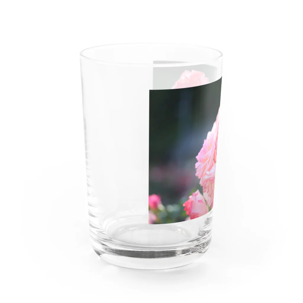 NEON LIGHT STARSの花包み Water Glass :left