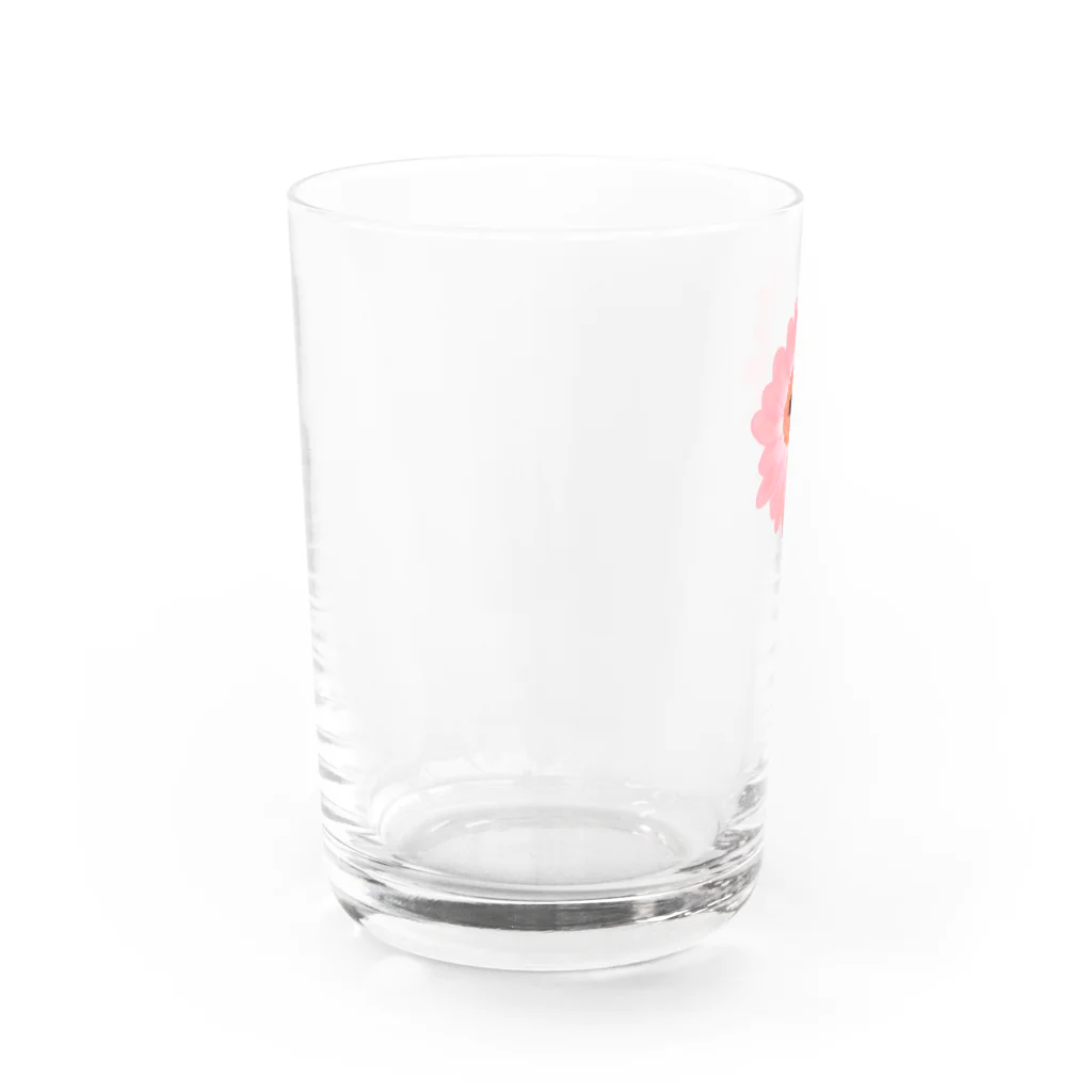 Lily bird（リリーバード）の桃色ガーベラ１輪 Water Glass :left