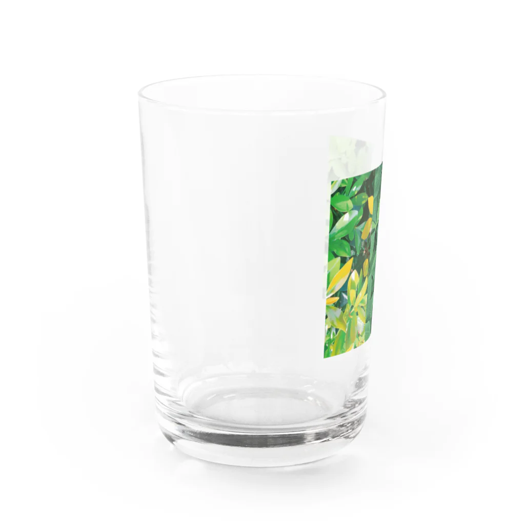 採色図鑑の#leaf_002 Water Glass :left