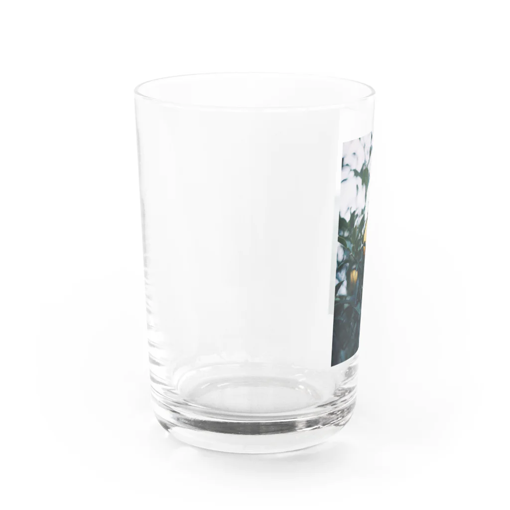 monの檸檬ちゃん Water Glass :left