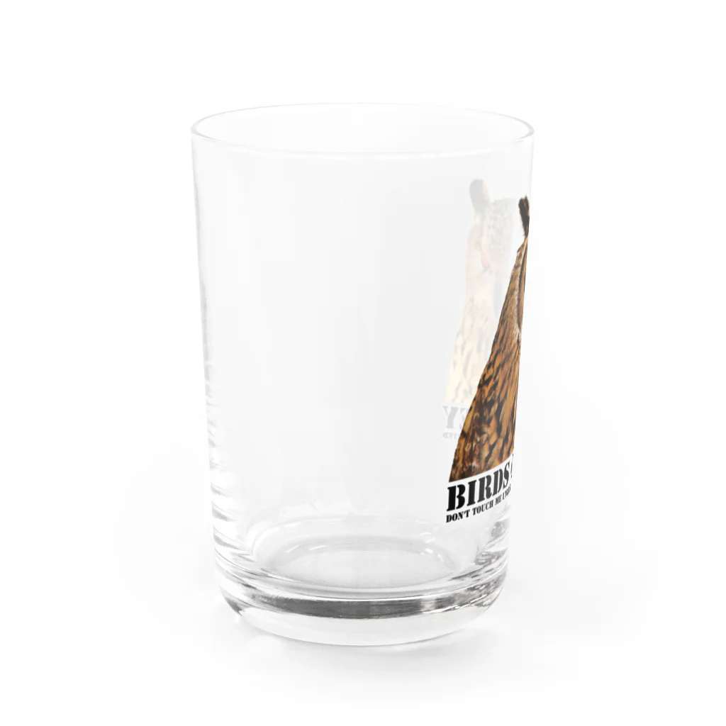 有限会社サイエンスファクトリーのBIRDS OF PREY ベンガルワシミミズク Water Glass :left