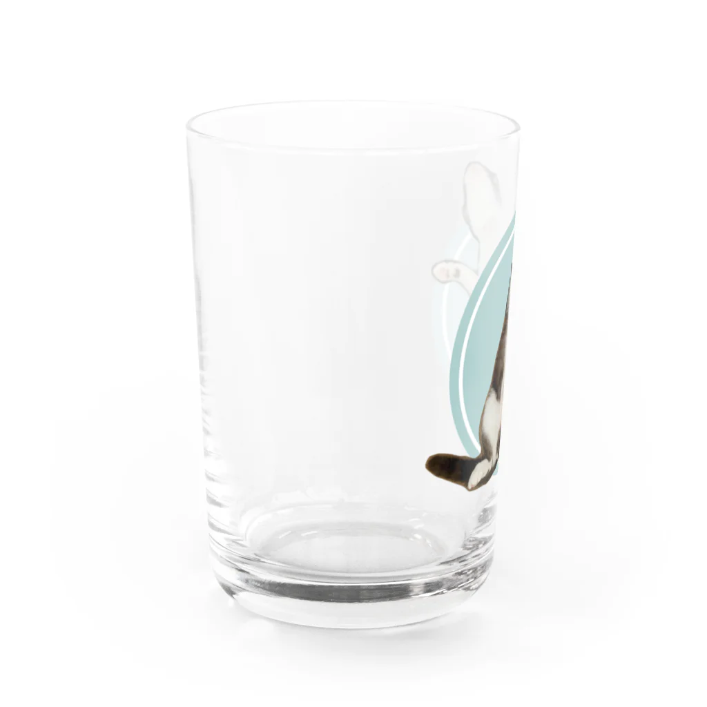 ステッカー屋のがもちゃ Water Glass :left