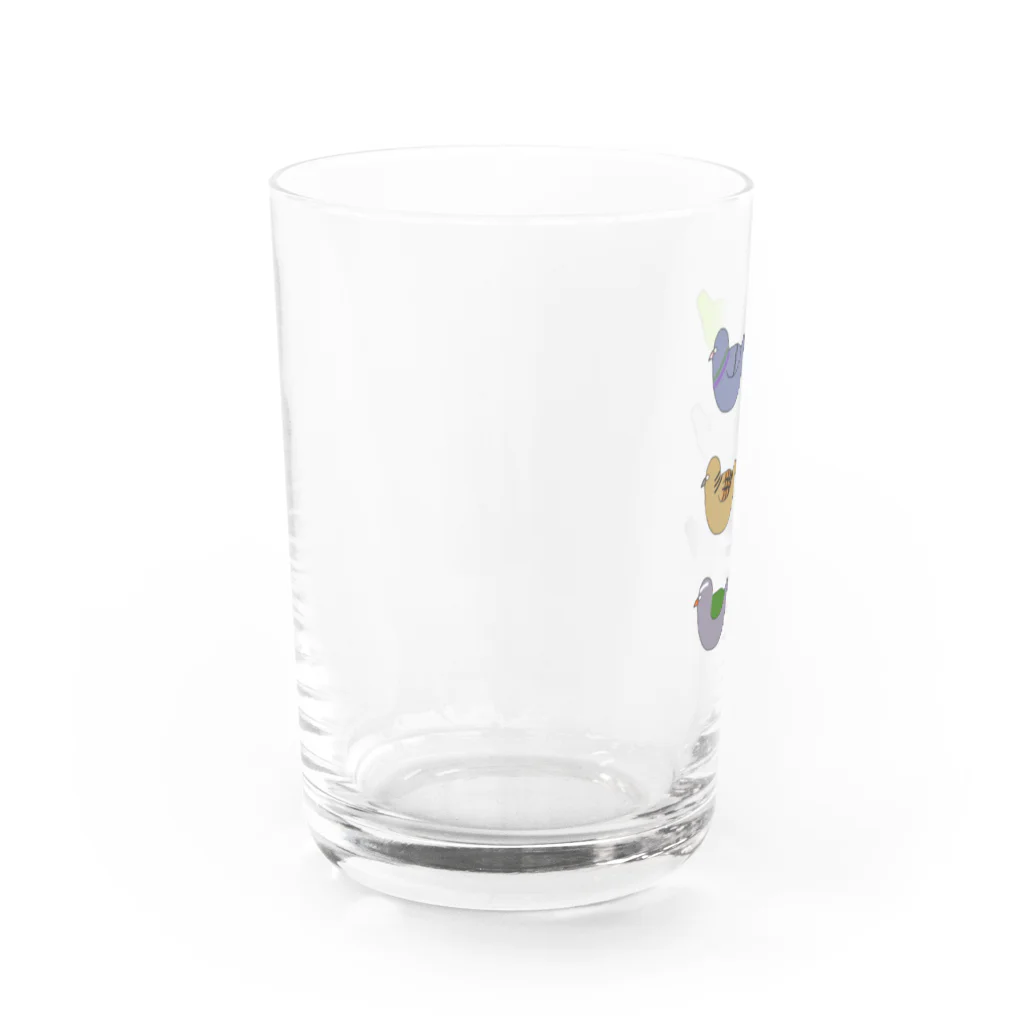 くるっぽShopのハトの仲間たち Water Glass :left