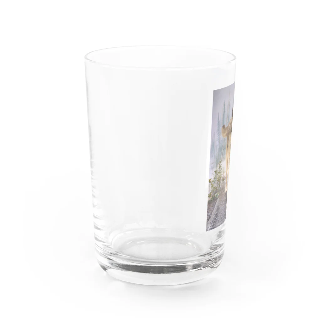 アラスカ野生動物画家きむらけいのF​o​r​e​s​t​ ​o​f​ ​K​a​s​i​l​o​f  Water Glass :left