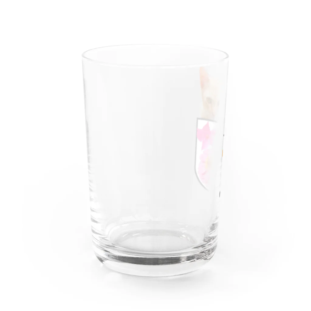 aiueoneko358のポケットからニャンです Water Glass :left