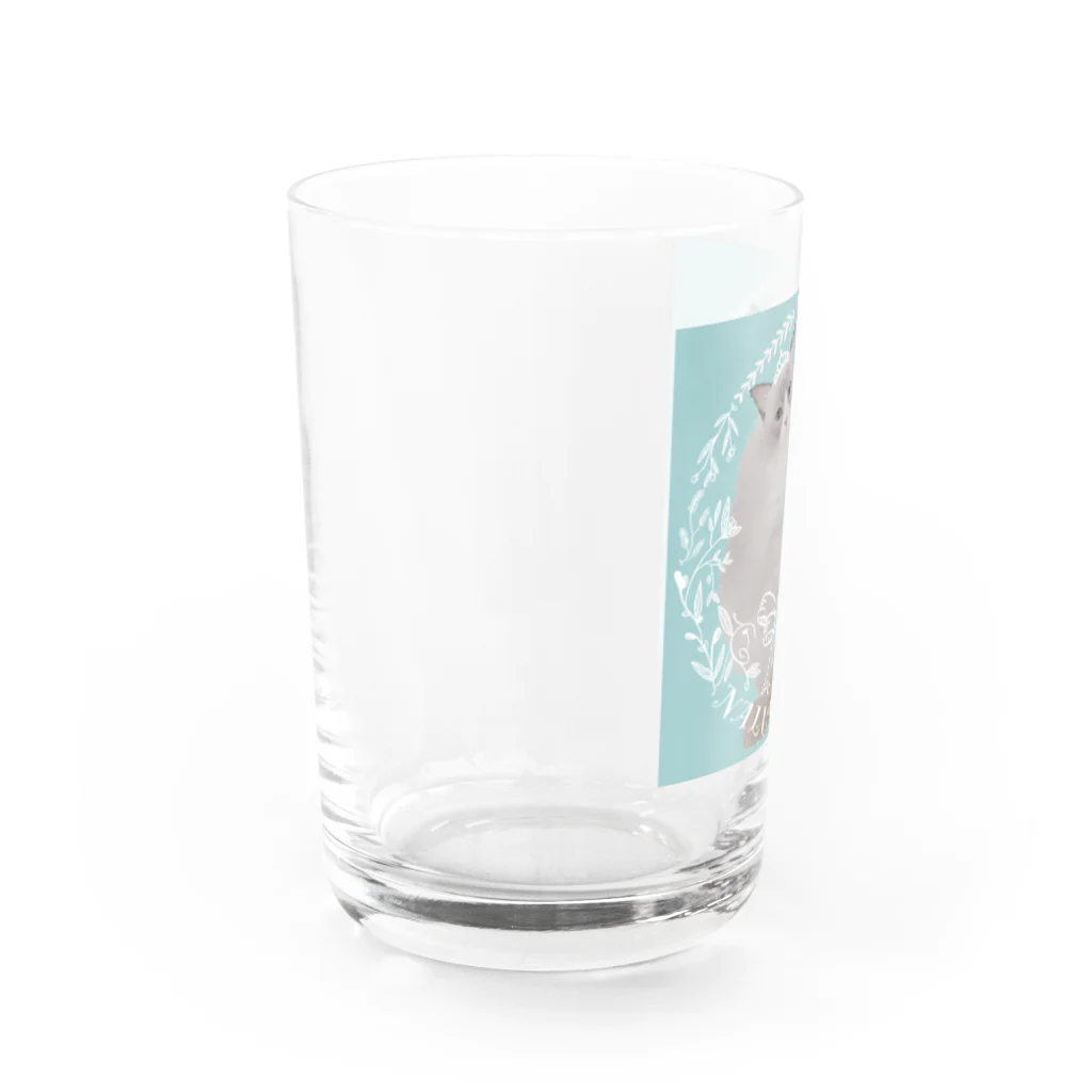 まるちゃんのアイドルにゃんこ Water Glass :left