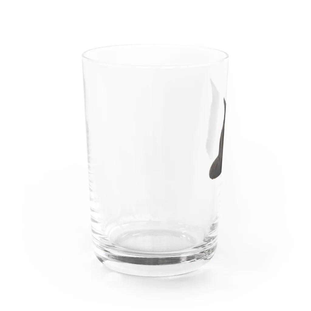 chill_laundryのクゥちゃん 宣材写真風 Water Glass :left