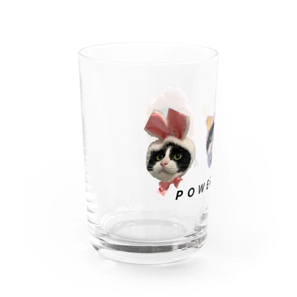 パワーSHOPのハチワレ猫のパワー Water Glass :left