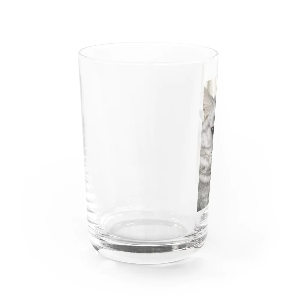 飼い主の2枚目俳優 Water Glass :left