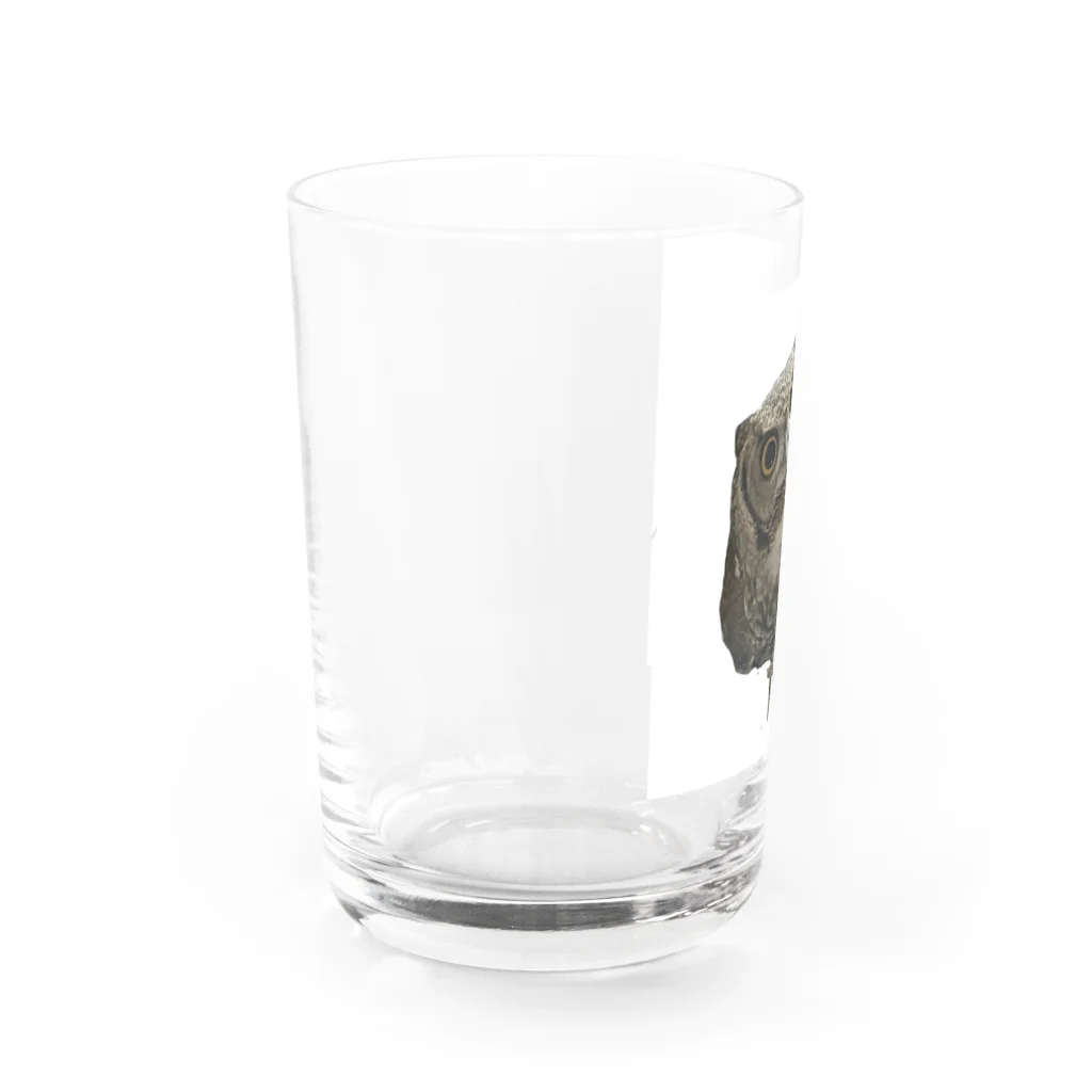 いおりとチャンネル🦉のいお・りとチャンネル🦉ふくろう柄 Water Glass :left