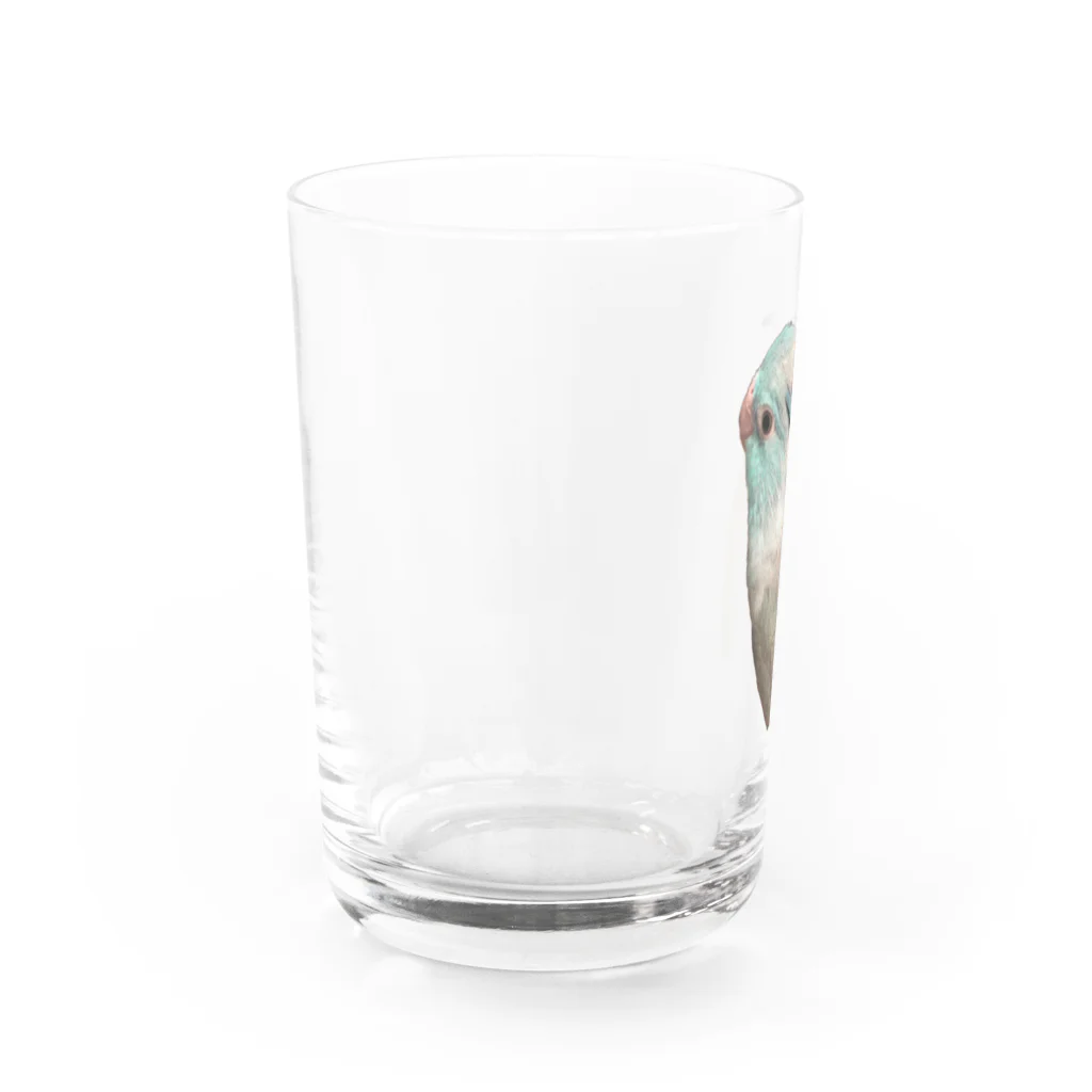 マメルリハグッズショップのマメルリハのゆき Water Glass :left