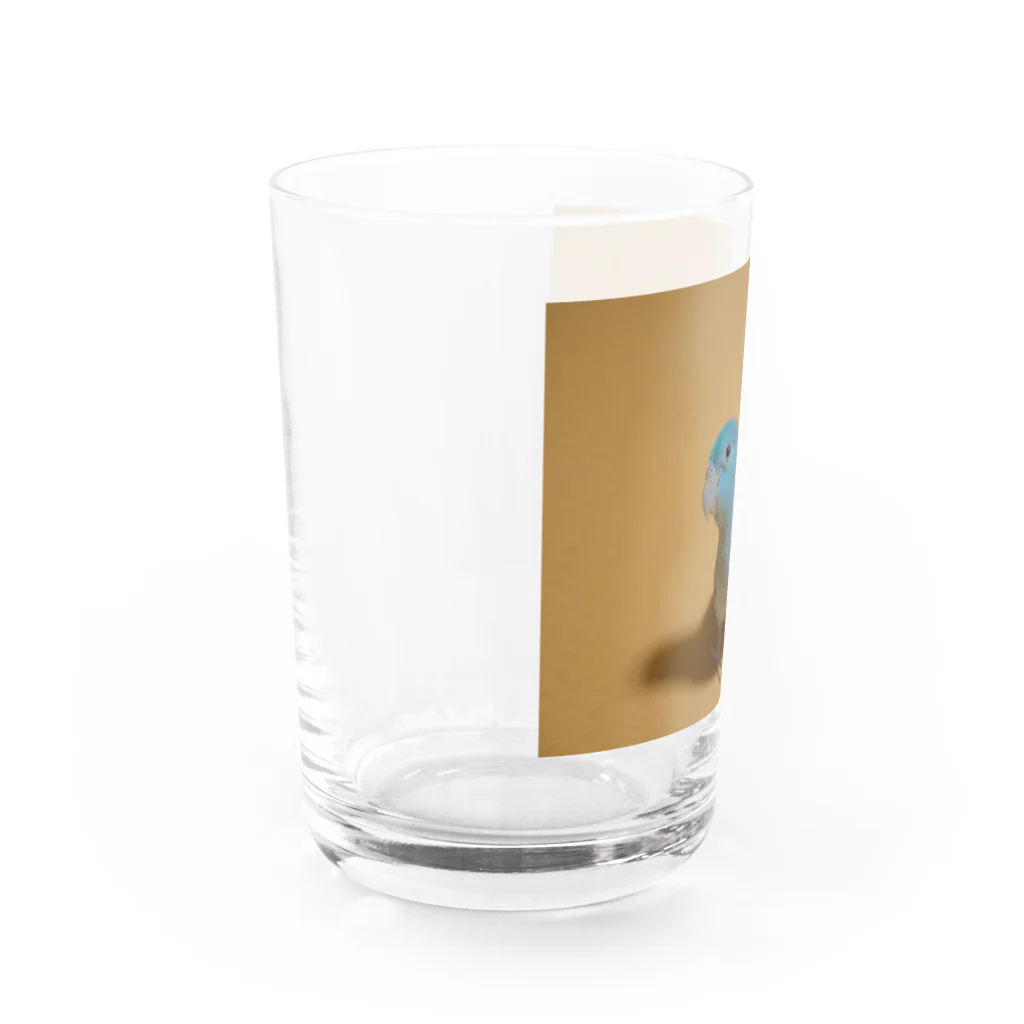 マメルリハグッズショップのマメルリハのゆき Water Glass :left