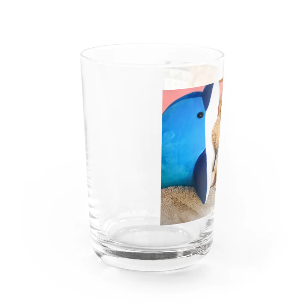 やる気なしピープルのロッティファミリー Water Glass :left