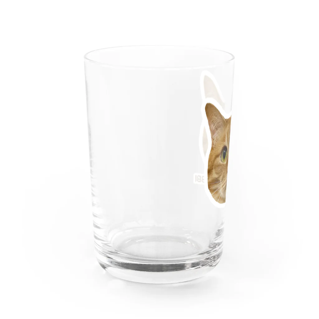 猫カフェ ぶぅたんグッズショップの絵文字マビくん Water Glass :left