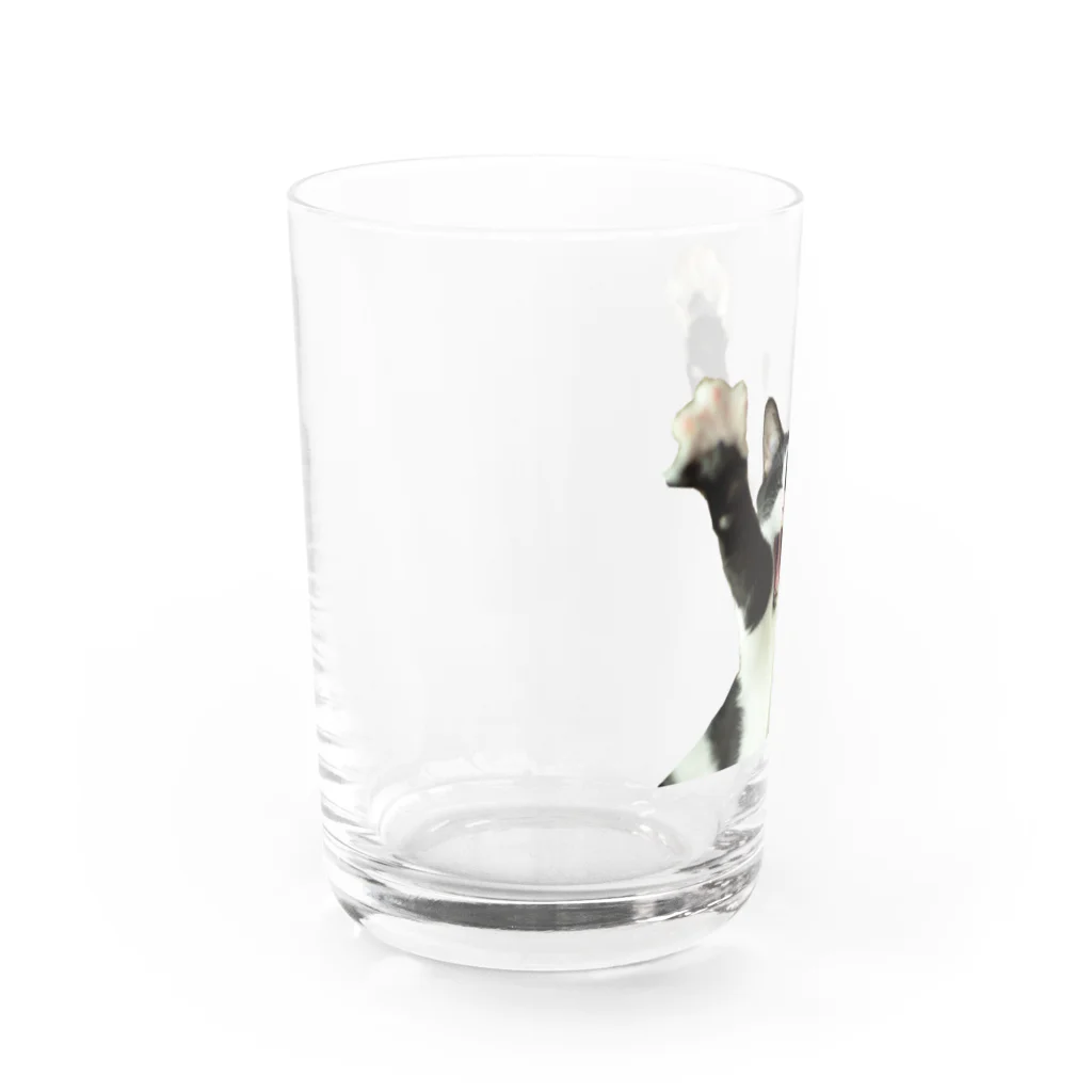 月之丞の庭の月之丞ばんにゃ～い Water Glass :left