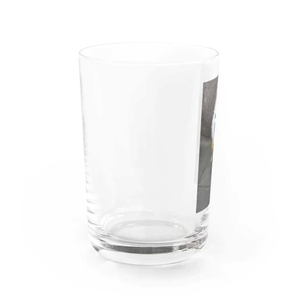 𝓣𝓪𝓴𝓾3000のレオくんシリーズ2 Water Glass :left