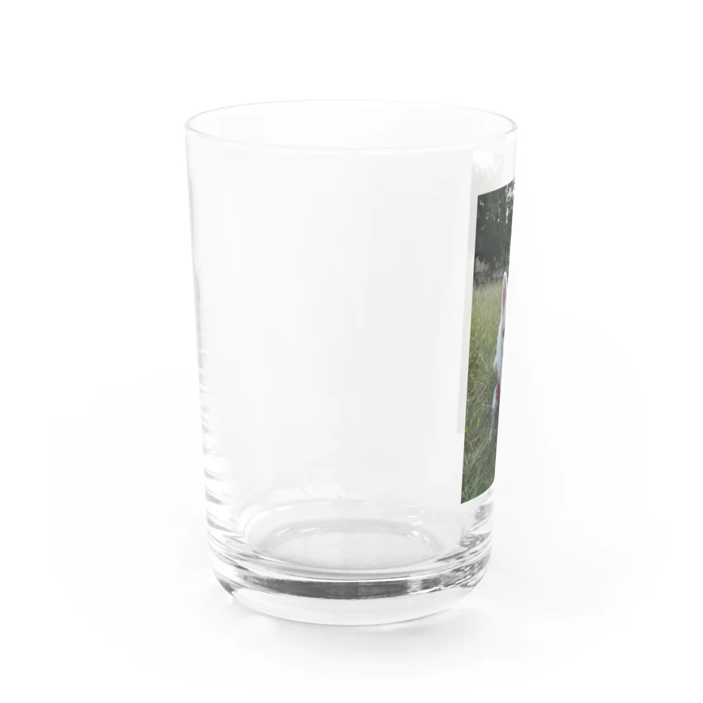 𝓣𝓪𝓴𝓾3000のレオくんシリーズ3 Water Glass :left