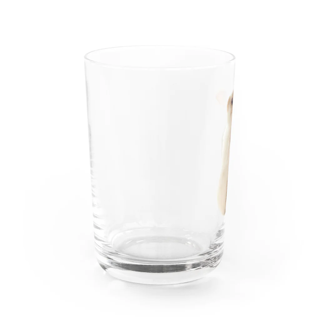 【うさぎ】いのかむきぃたんグッズの【うさぎ】ベビかむくんグッズ Water Glass :left