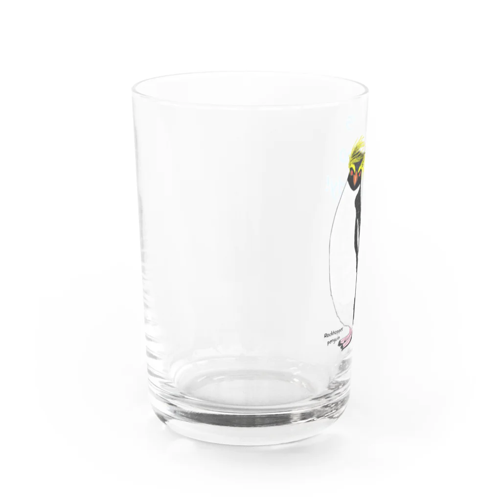 LalaHangeulのRockhopper penguin　(イワトビペンギン) Water Glass :left