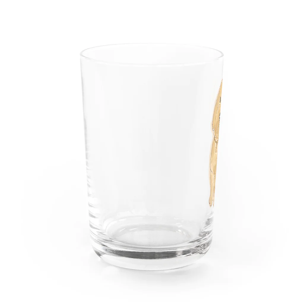 hawkのstandard poodle 『ily』 Water Glass :left